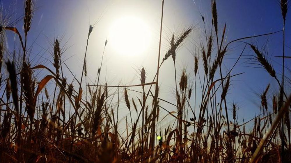 Photo d’illustration. © Pixabay