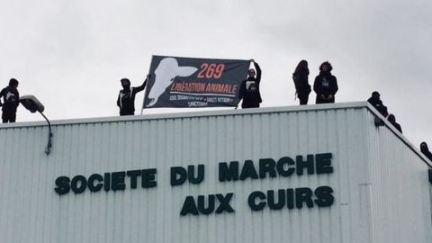 © Twitter/L269Life libérationa animale