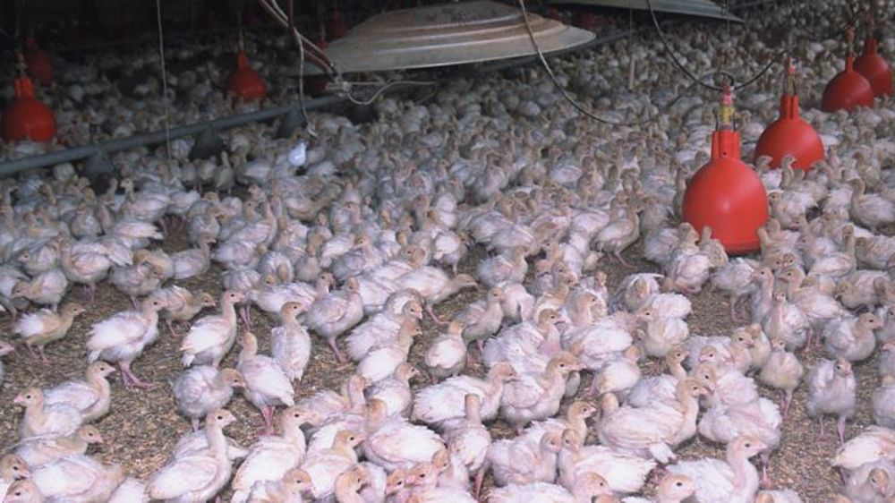 Photo d’illustration© NRCS