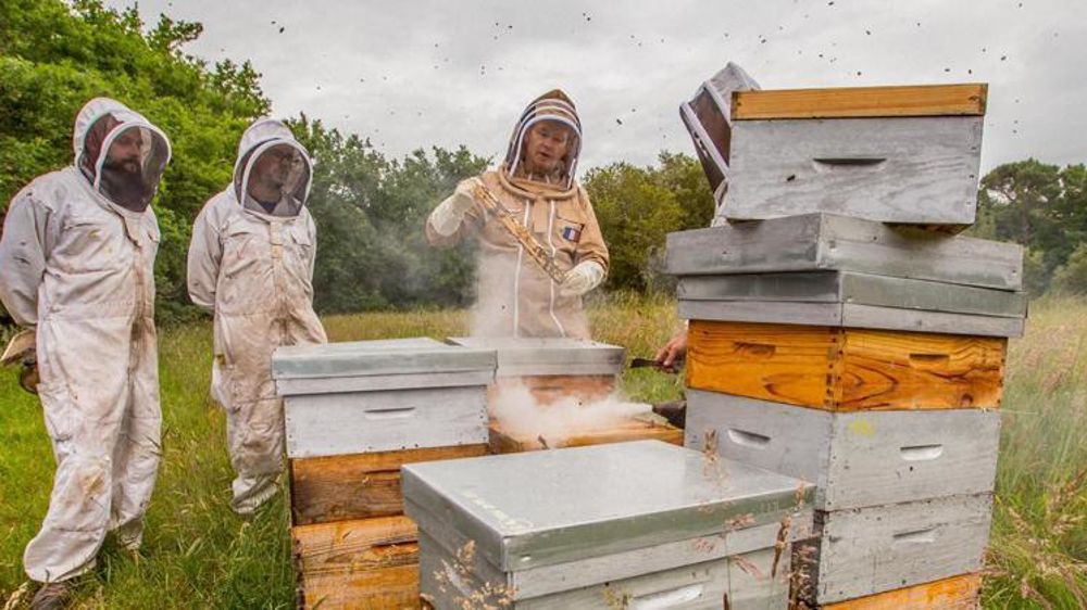 © Facebook/Bleu Blanc ruche/Romain Smiljkvoski (Ulule)