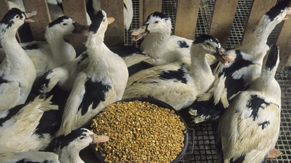 © Claudius Thiriet © Claudius Thiriet