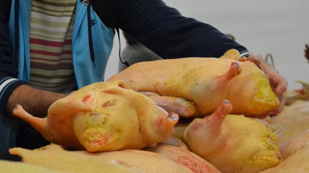 © Facebook/Mairie de Samatan