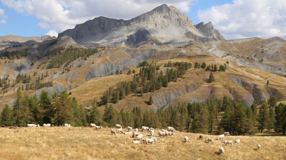 © M.-F. Malterre/GFA