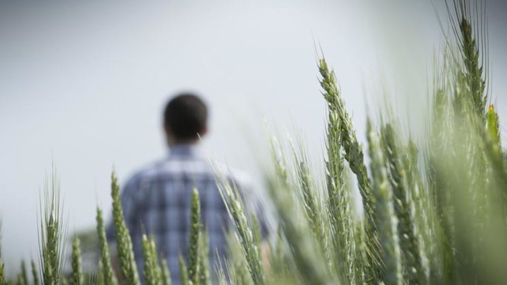 Tout le débat sur l’attractivité des métiers en agriculture sera vain s’il ne passe par de meilleurs revenus pour les exploitants, selon l’atelier 13 des États-généraux de l’alimentation, réunissant producteurs, transformateurs et distributeurs. © Sébastien Champion