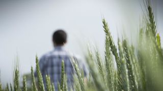 Tout le débat sur l’attractivité des métiers en agriculture sera vain s’il ne passe par de meilleurs revenus pour les exploitants, selon l’atelier 13 des États-généraux de l’alimentation, réunissant producteurs, transformateurs et distributeurs. © Sébastien Champion Tout le débat sur l’attractivité des métiers en agriculture sera vain s’il ne passe par de meilleurs revenus pour les exploitants, selon l’atelier 13 des États-généraux de l’alimentation, réunissant producteurs, transformateurs et distributeurs. © Sébastien Champion