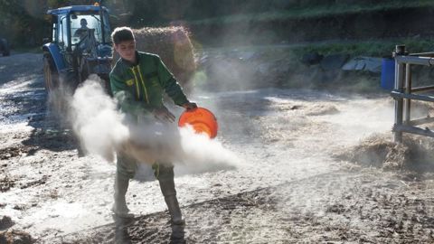 L’apprentissage dans l’enseignement agricole représente désormais près de 8 % des effectifs nationaux d’apprentis. © Jean-Michel Nossant L’apprentissage dans l’enseignement agricole représente désormais près de 8 % des effectifs nationaux d’apprentis. © Jean-Michel Nossant