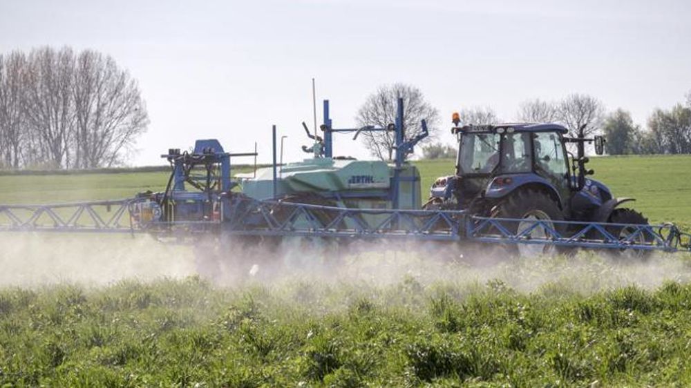 La société bretonne Osmobio qui cherche à homologuer un désherbant naturel à base d’extraits de plantes « aussi efficace que les désherbants chimiques à base de glyphosate », selon l’entreprise. © Christian Watier