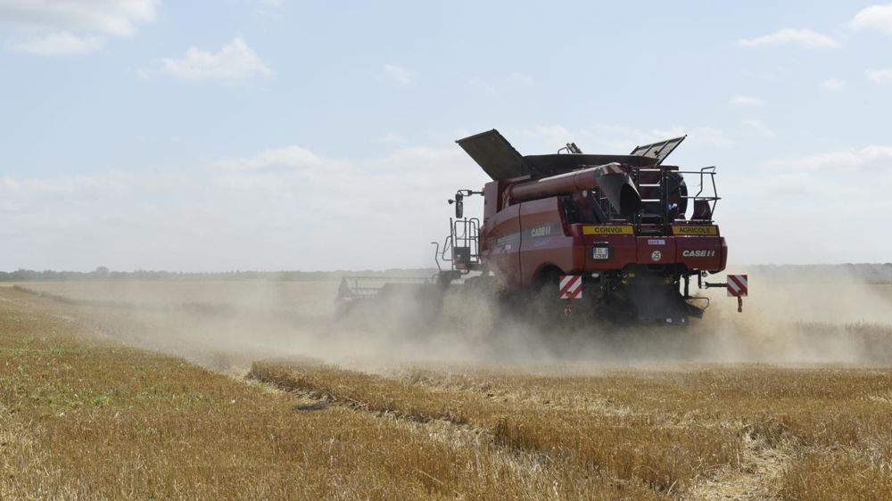 © Cédric Faimali/GFA