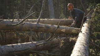 Les tempêtes Lothar, Martin en 1999 et Klaus en 2009 ont impacté les peuplements forestiers. © Georges Bartoli Les tempêtes Lothar, Martin en 1999 et Klaus en 2009 ont impacté les peuplements forestiers. © Georges Bartoli