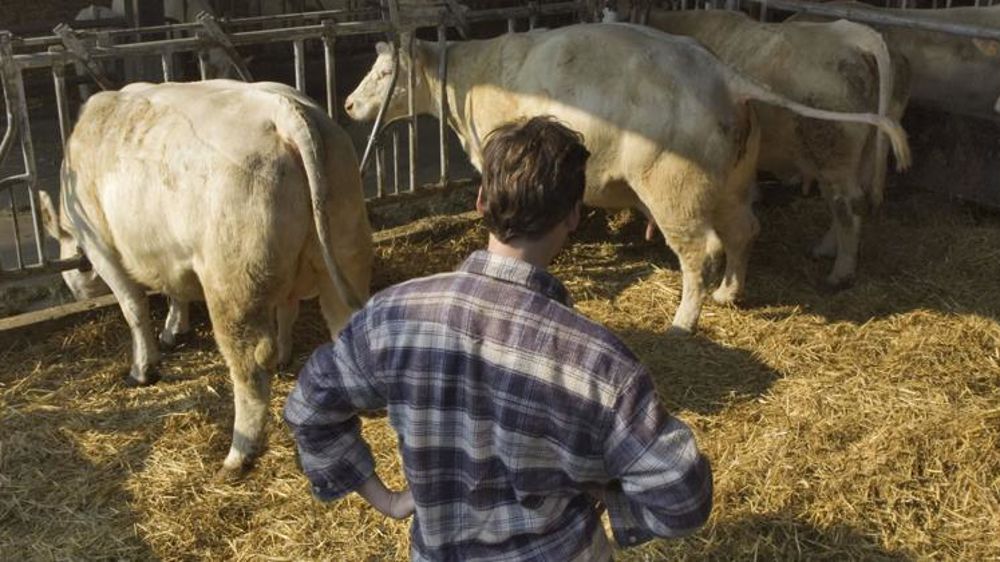 Le taux de renouvellement des exploitants agricoles atteint 3 % en 2016 (en baisse de 0,2 point par rapport à 2015). © Claudius Thiriet