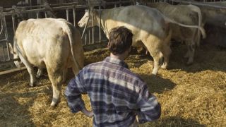 Le taux de renouvellement des exploitants agricoles atteint 3 % en 2016 (en baisse de 0,2 point par rapport à 2015). © Claudius Thiriet Le taux de renouvellement des exploitants agricoles atteint 3 % en 2016 (en baisse de 0,2 point par rapport à 2015). © Claudius Thiriet