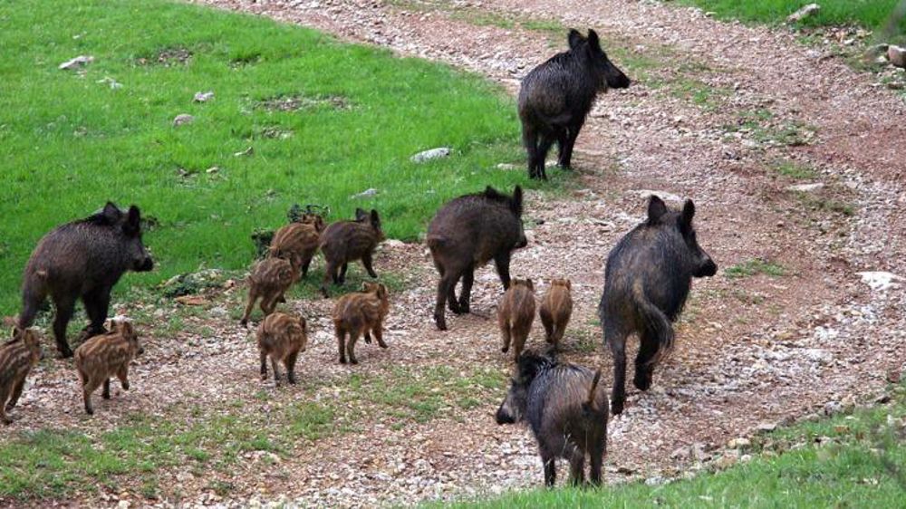 Photo d’illustration. © Pixabay