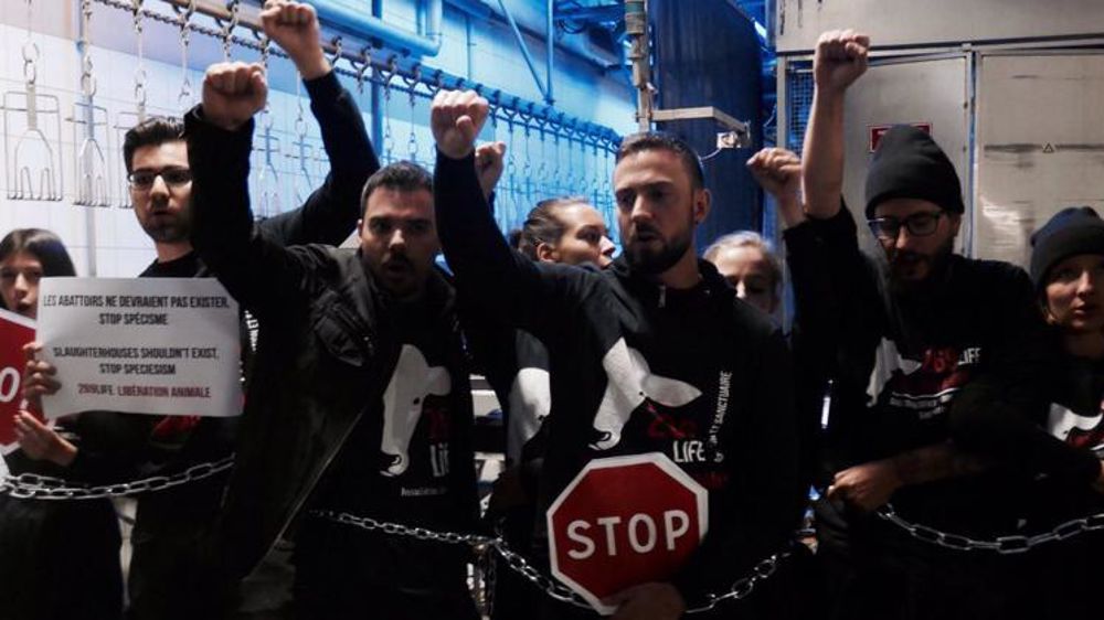 Des militants de l’association lors du blocage de l’abattoir Palmid’Or en juillet 2017. © Twitter/269 Life Libération Animale