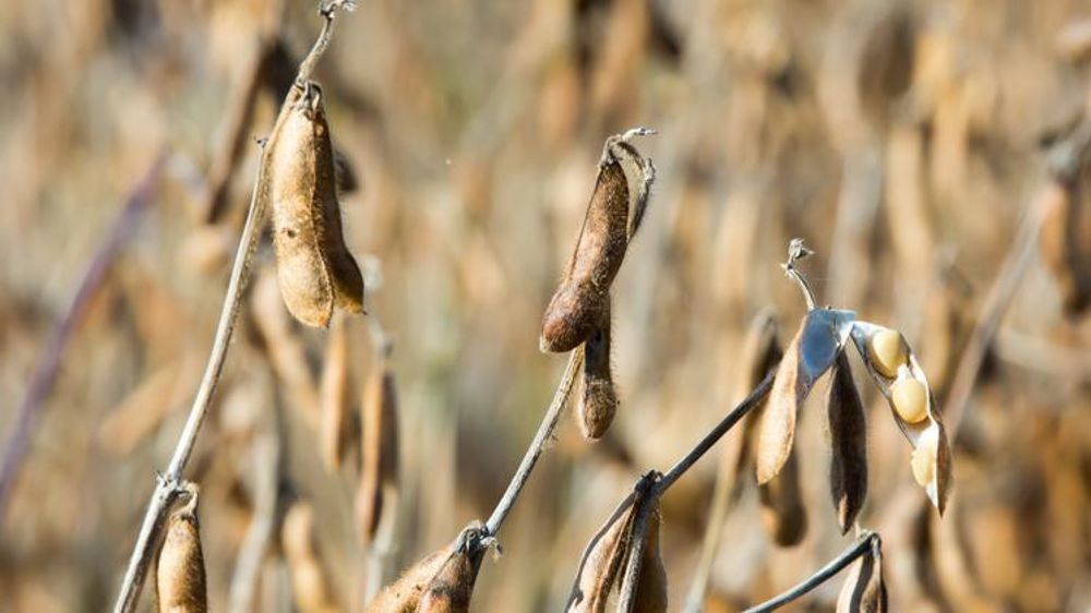 © Jean-Michel Nossant © Jean-Michel Nossant