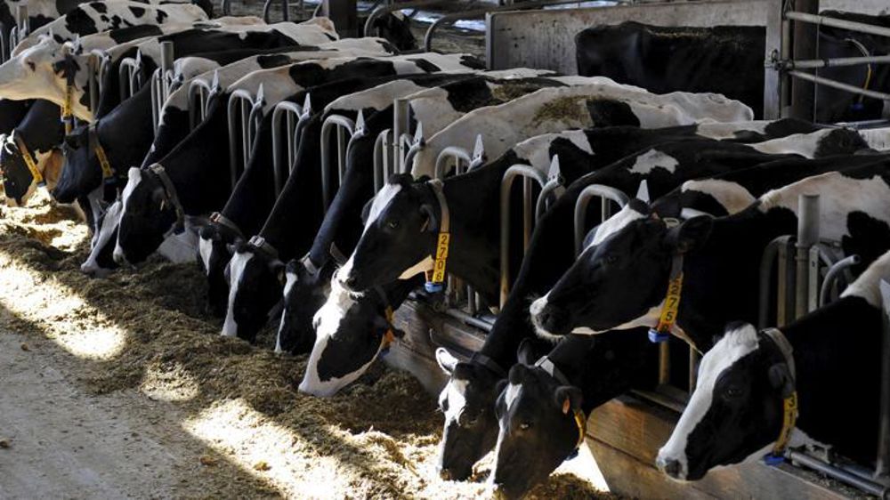 © Cédric Faimali/GFA