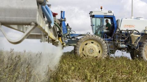 Le diquat était notamment utilisé pour défaner les pommes de terre. © C. Thiriet Le diquat était notamment utilisé pour défaner les pommes de terre. © C. Thiriet