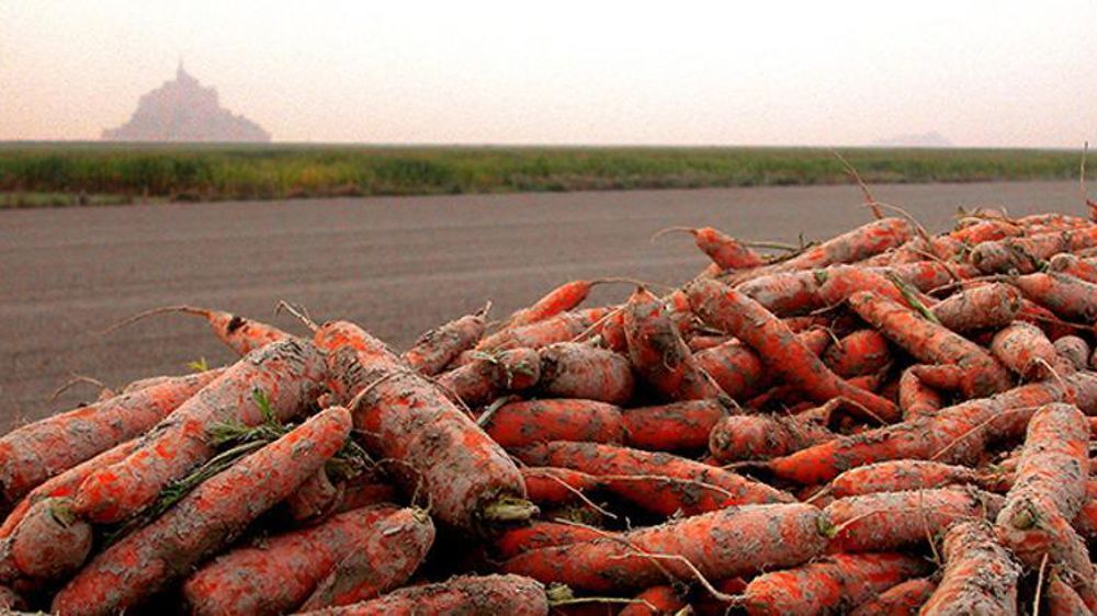 © L. Le Guyader/Interfel