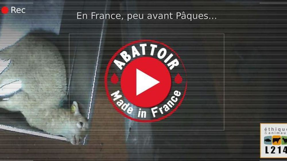 Le tribunal de Pau a condamné l’ex-directeur de l’établissement à six mois de prison avec sursis et les employés à des amendes. © L214