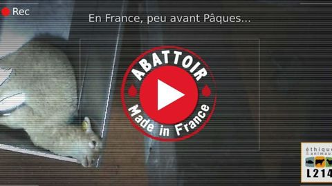 Le tribunal de Pau a condamné l’ex-directeur de l’établissement à six mois de prison avec sursis et les employés à des amendes. © L214