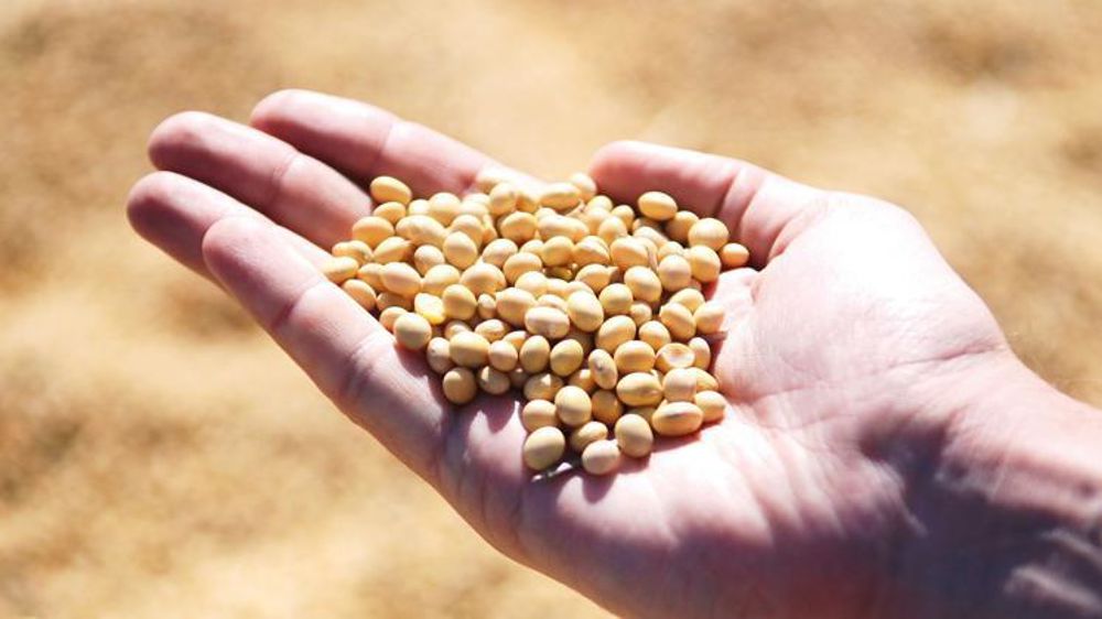 Selon l’étude commandée par le Groupe d’étude et de promotion des protéines végétales (GEPV), la moitié des personnes interrogées se disent prêtes à payer jusqu’à 10 % de plus pour qu’un produit contienne des protéines végétales. © Pixabay