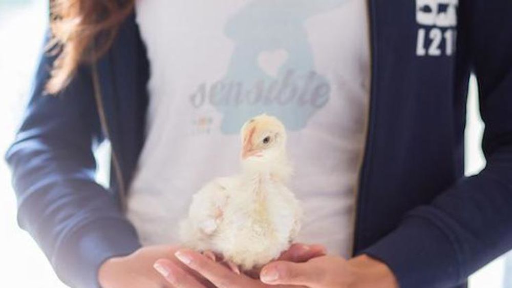 312 millions de dollars dépensés par un ancien de Facebook en 2017 pour le bien-être animal. © DR