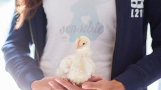 312 millions de dollars dépensés par un ancien de Facebook en 2017 pour le bien-être animal. © DR 312 millions de dollars dépensés par un ancien de Facebook en 2017 pour le bien-être animal. © DR