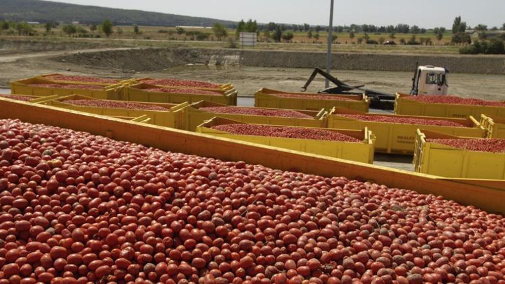 © Jean-Claude Grelier/GFA