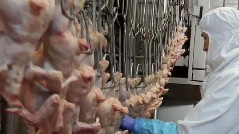 LDC négocie avec les actionnaires des Volailles Rémi Ramon, pour racheter ces deux abattoirs de volailles situés en Mayenne. © YouTube Les volailles Rémi Ramon