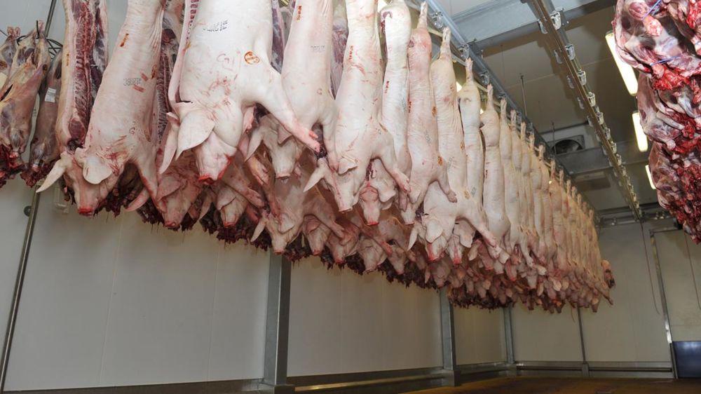 © Cédric Faimali/GFA