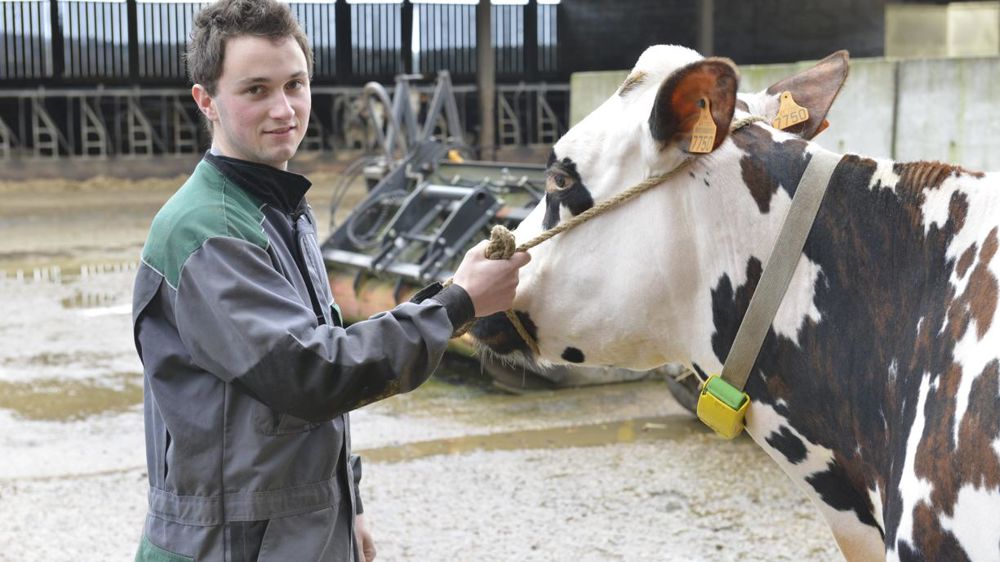 © Cédric Faimali/GFA