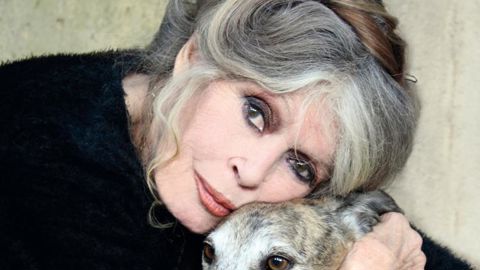 Dans une lettre ouverte publiée le 26 décembre 2018, Brigitte Bardot accuse Emmanuel Macron d’avoir fait « allégeance aux chasseurs », et lui demande un « miracle » de Noël pour la condition animale. © Fondation Brigitte Bardot Dans une lettre ouverte publiée le 26 décembre 2018, Brigitte Bardot accuse Emmanuel Macron d’avoir fait « allégeance aux chasseurs », et lui demande un « miracle » de Noël pour la condition animale. © Fondation Brigitte Bardot