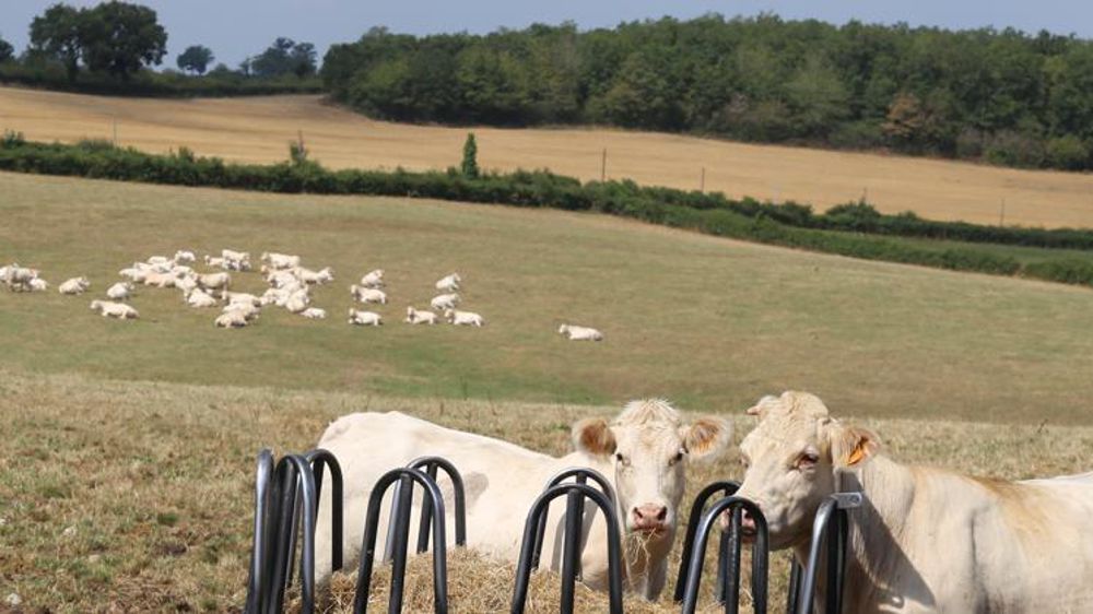 © M.-F. Malterre/GFA