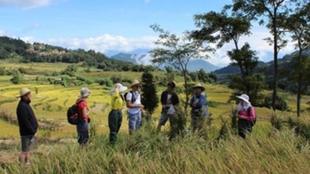 Une partie de l’équipe du projet « Riz Eternel » sur le terrain (terrasses de Yuanyang, Yunnan, Chine). © Cirad, H. Adreit