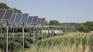 Le projet de loi relatif à l accélération des énergies renouvelables pare l agrivoltaïsme de garde-fou. Le projet de loi relatif à l accélération des énergies renouvelables pare l agrivoltaïsme de garde-fou.