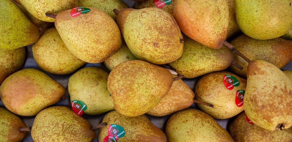 Agreste estime la production française de poires de table à 144 000 tonnes au 1er novembre 2022.