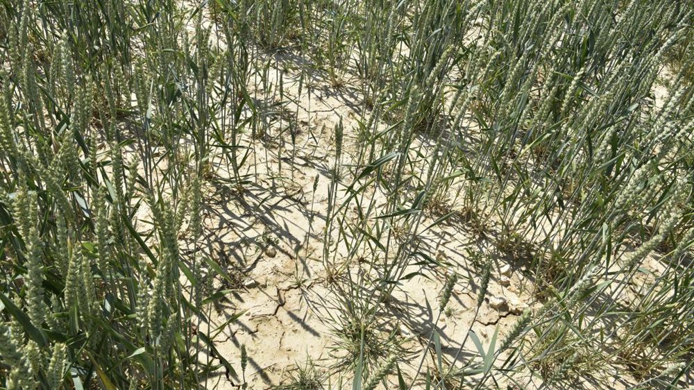 L'analyse réalisée sur la Plaine de Caen a été élargie à d’autres sites de France.