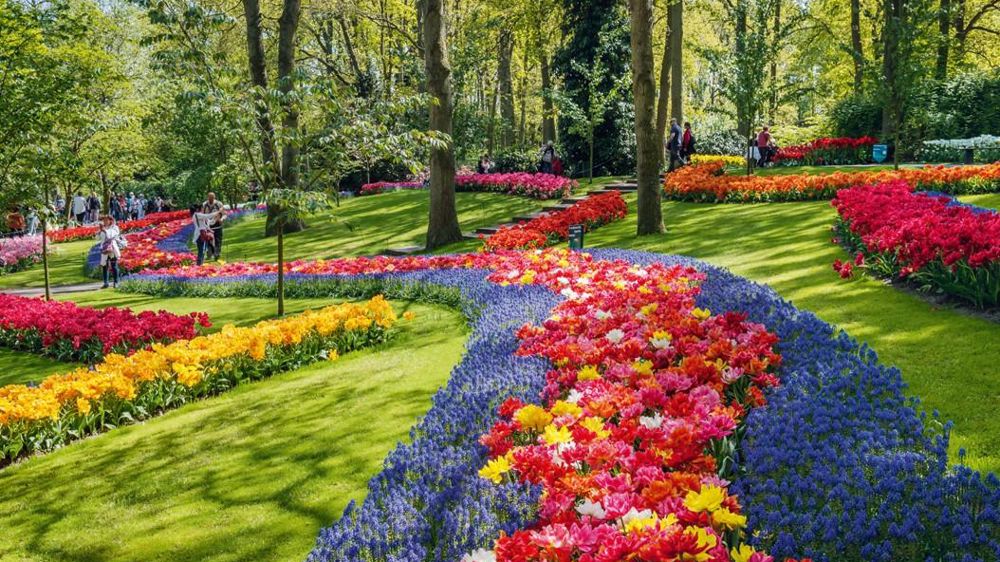 Les Pays-Bas font partie des destinations choisies par les apprenants français pour travailler en horticulture. Ici, le parc Keukenhof. .  PHOTO : KEUKENHOF Les Pays-Bas font partie des destinations choisies par les apprenants français pour travailler en horticulture. Ici, le parc Keukenhof. .  PHOTO : KEUKENHOF
