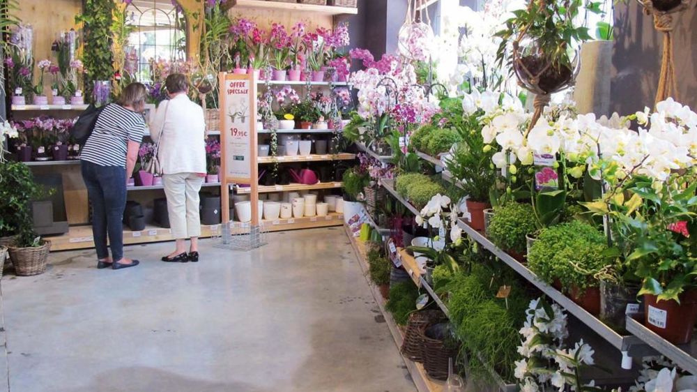 Parmi les tendances qui impactent le marché du jardin, on peut distinguer, entre autres, la volonté de présenter l'offre dans des mises en scène proches de l'univers du domicile des clients, mais aussi la féminisation de la clientèle.