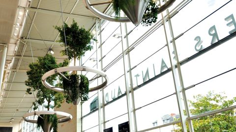 Angers accueillera, les 7 et 8 novembre prochains, un nouveau type de rendez-vous qui mettra en perspective des pistes de développement pour les entreprises et les filières du végétal.PHOTO Isabelle Cordier