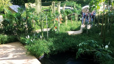 Et si ce jardin, réalisé dans le cadre de la dernière édition de « Jardins Jardin » aux Tuileries, en juin dernier, symbolisait bien l'idée que notre secteur présente encore des zones floues mais permet de dégager des perspectives plus rassurantes que ces dernières années ?