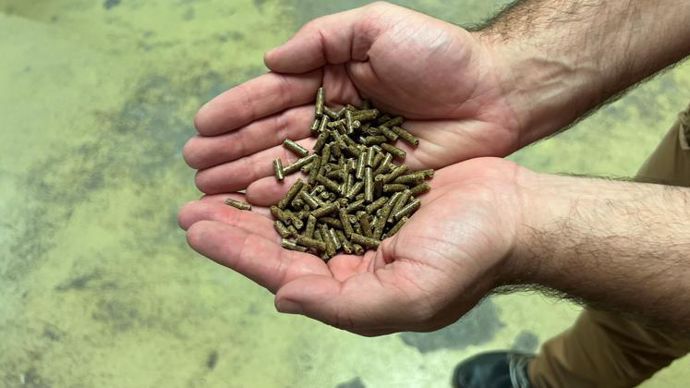 La production européenne d’aliments pour animaux devrait perdre 5 Mt, passant ainsi à 145 Mt en 2022. © Y. BOLOH