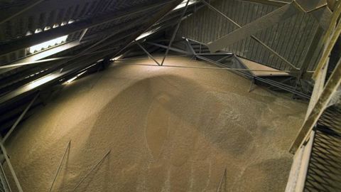 L’idéal est d’utiliser au mieux la ventilation pour atteindre une température des grains de 12 °C avant le passage au tarif d’hiver en électricité. © WATIER VISUEL