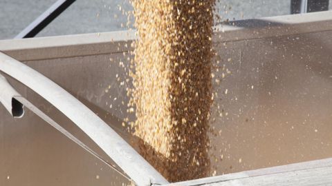 La nouvelle formation « commercialisation des grains », destinée aux négoces agricoles, est née d’une attente du terrain. © S. CHAMPION