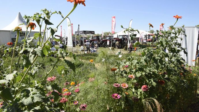 En plus des nombreux exposants, sept villages thématiques, animés par la chambre d’agriculture et ses partenaires, sont installés sur le salon Innov-Agri, qui prend place cette année à Ondes (Haute-Garonne). © C. FAIMALI