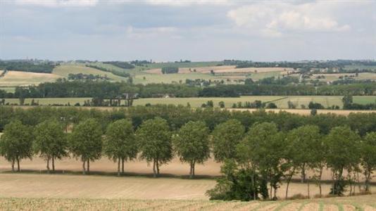 La filière agroforestière veut sortir de la confidentialité