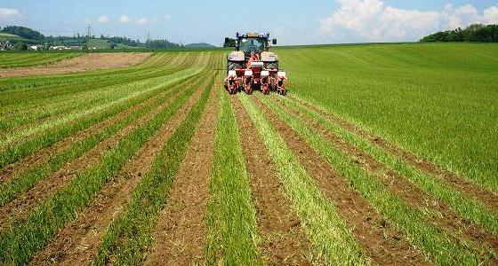 Le strip-till Oekosem.