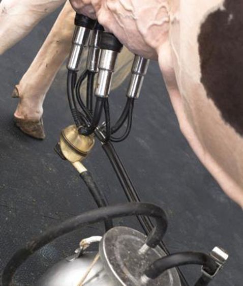 © Claudius Thiriet.