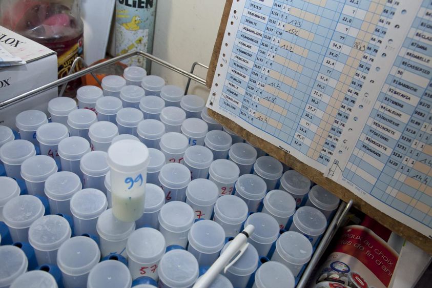 
						Laboratoires. Un « 250 000 cellules » aujourd’hui avec l’étalon français utilisé par tous les laboratoires de l’Hexagone vaudra demain seulement un « 200 000 à 212 500 cellules ».
							© Sébastien CHAMPION