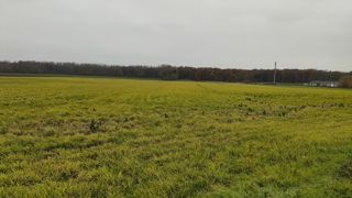 L’évaluation de la substance active "glyphosate" a pris du retard pour des raisons indépendantes de la volonté du demandeur. L’évaluation de la substance active "glyphosate" a pris du retard pour des raisons indépendantes de la volonté du demandeur.
