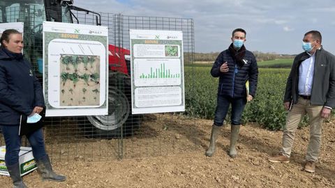 Alizée Loiseau, consultante chez Agrosolutions, Philippe Pluquet, responsable du pôle Agronomie et innovations de Noriap, et Samuel Dubois, chef de marché hybrides RAGT, ont présenté la plateforme d’essai mise en place dans la Somme dans le cadre du projet « Secure colza ». © L. PETIT